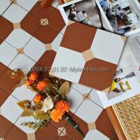 Gạch bông 20x20 trang trí nhà tắm