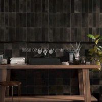 Gạch ốp trang trí tường 40x80