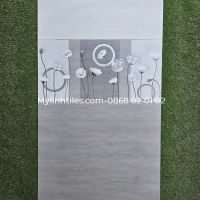 Gạch trang trí tường 30x60 hoa văn hòa nhã