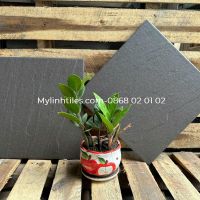Gạch 30x30 granite đồng chất cao cấp
