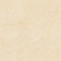 Gạch lát nền 100x100 tasa 1102