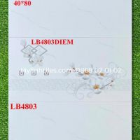 Gạch ốp tường 40x80 men bóng chất lượng cao